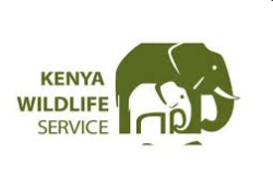 KENYA WILDLIFE SERVICE